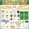 323-Piece Hawaiian Luau Party Decorations Kit | “ALOHA” & “HAPPY BIRTHDAY” Banners, Balloons, Cake Topper, Straws, Table Skirt & Dinnerware Set for 25 Adults